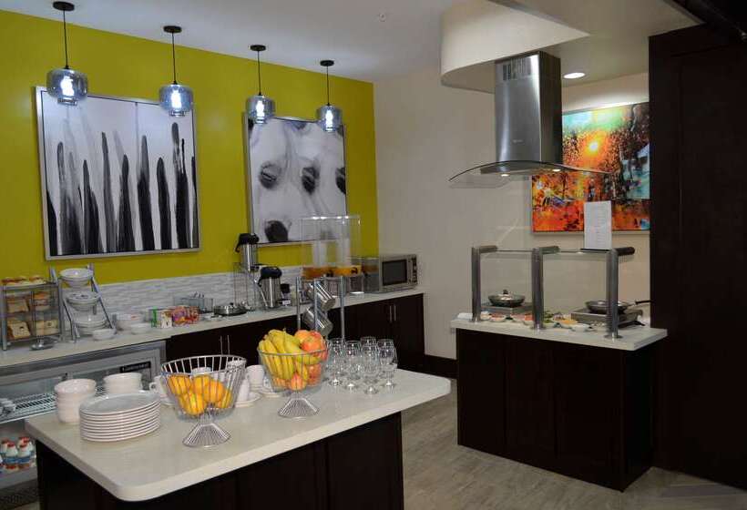 هتل Best Western Premier Ashton Suiteswillowbrook