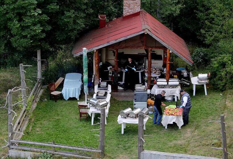 בית מלון כפרי Borika