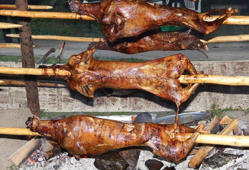 בית מלון כפרי Borika