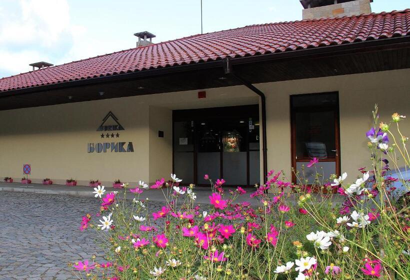 בית מלון כפרי Borika