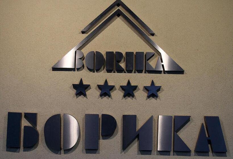 בית מלון כפרי Borika