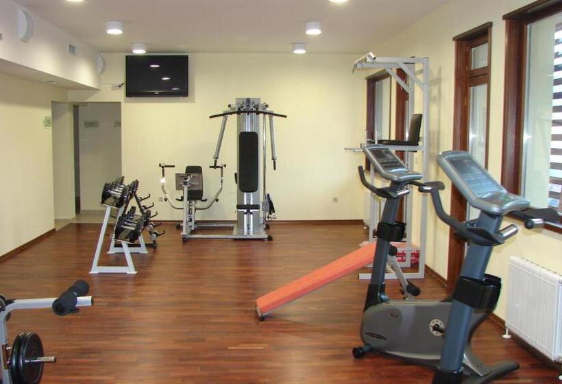 בית מלון כפרי Borika