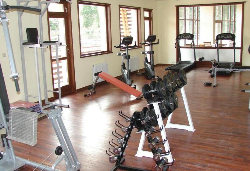 בית מלון כפרי Borika