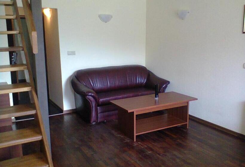 בית מלון כפרי Borika