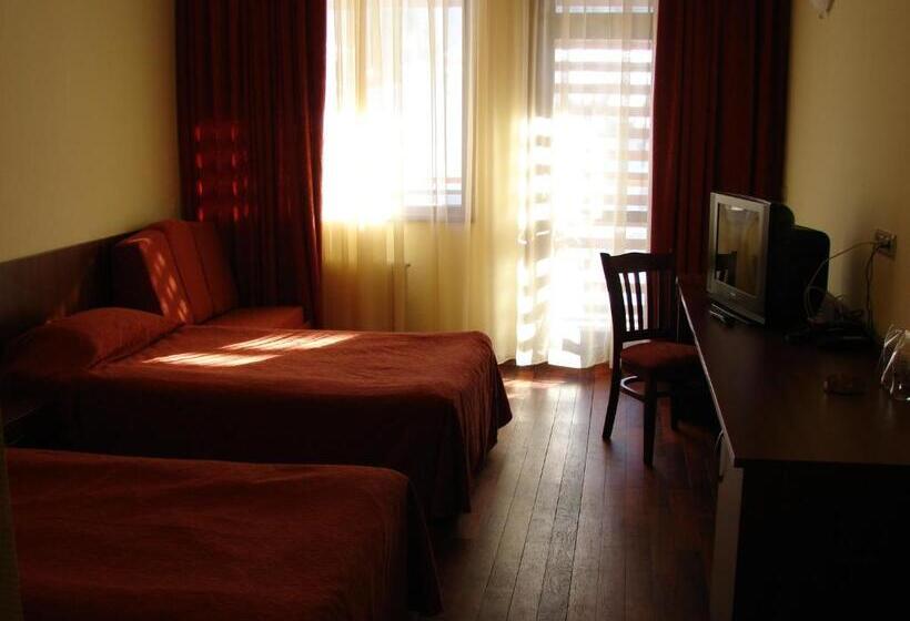 בית מלון כפרי Borika