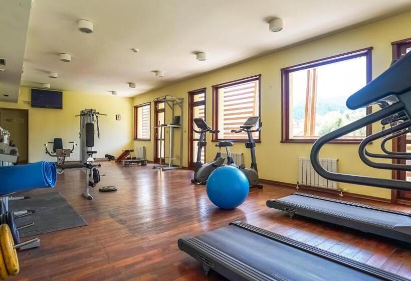 בית מלון כפרי Borika