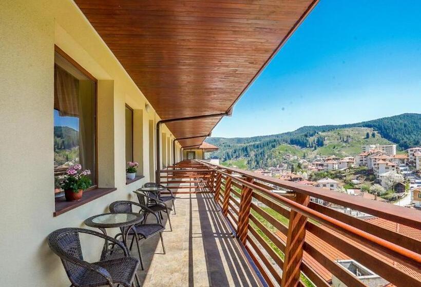 בית מלון כפרי Borika