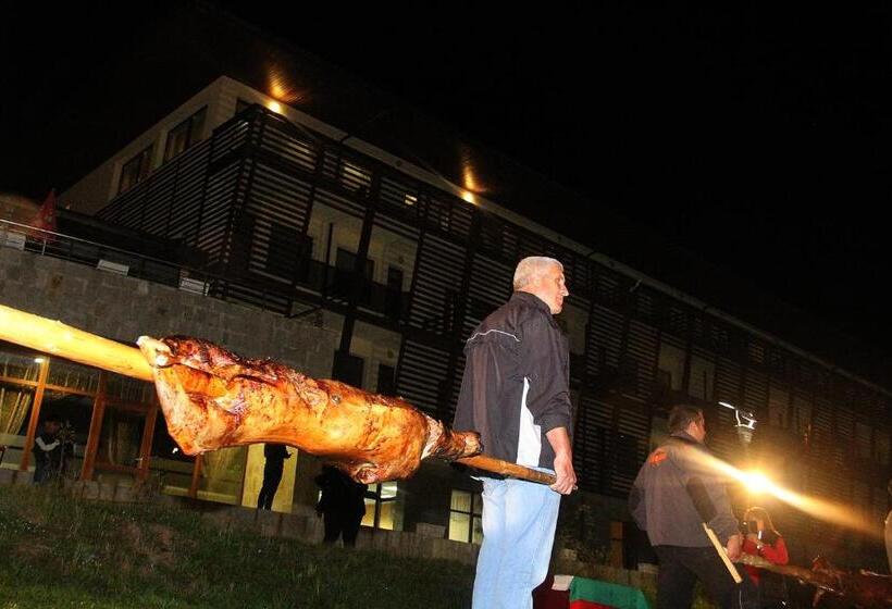 בית מלון כפרי Borika