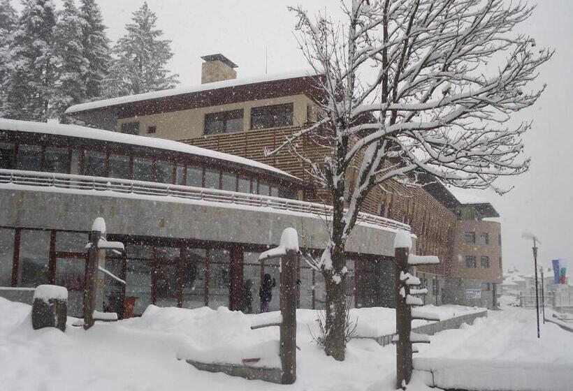 בית מלון כפרי Borika