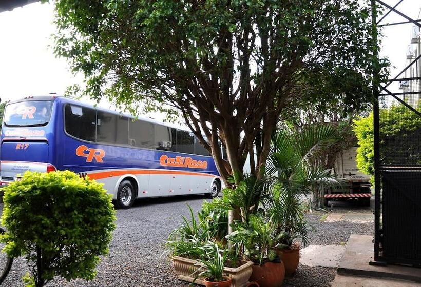 호텔 Carolina Plaza