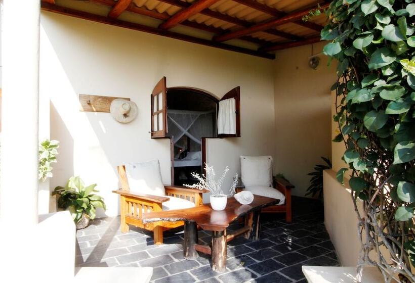 호텔 Casa Rex By Sol Resorts