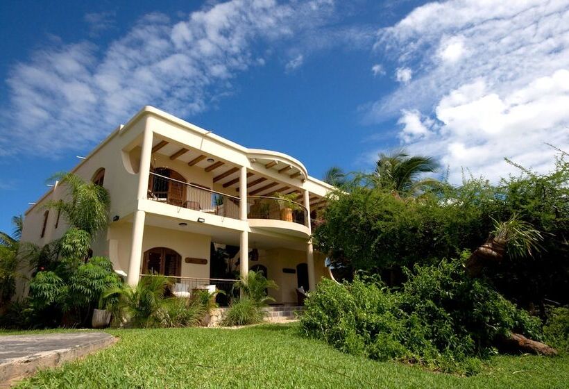 호텔 Casa Rex By Sol Resorts