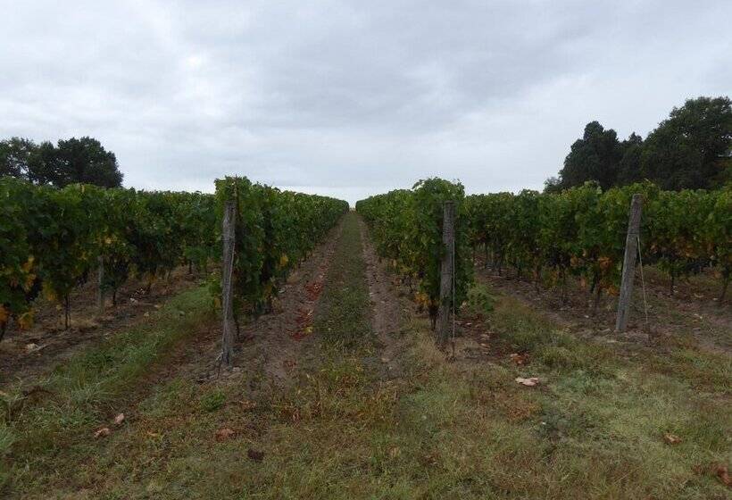 酒店 Château Des Salles