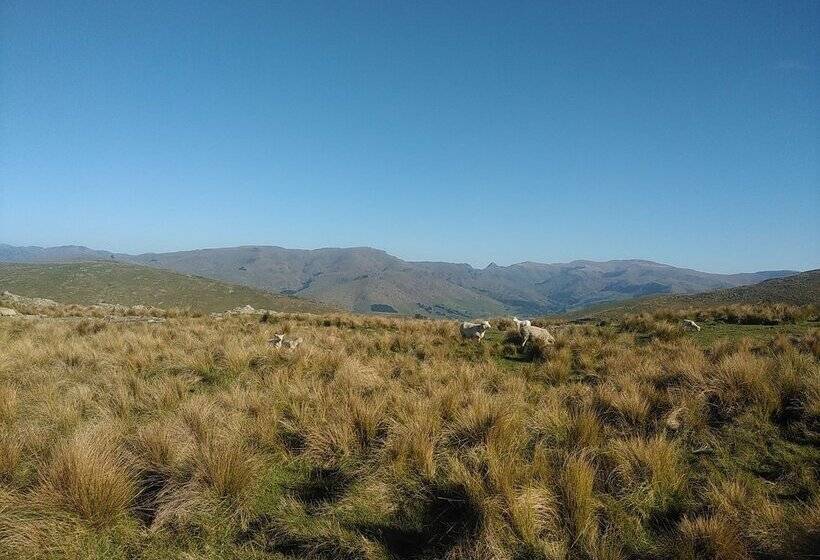 Отель Designer Cottage B&b