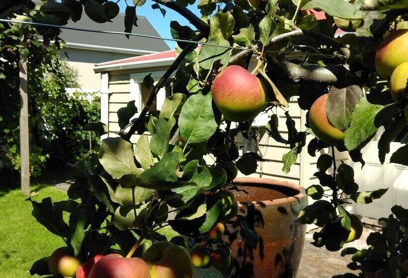 Отель Designer Cottage B&b