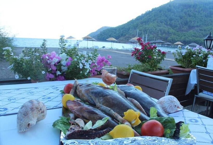 酒店 Ekincik Beach