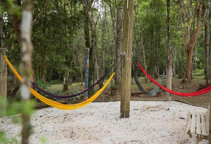 فندق Estancia Betania