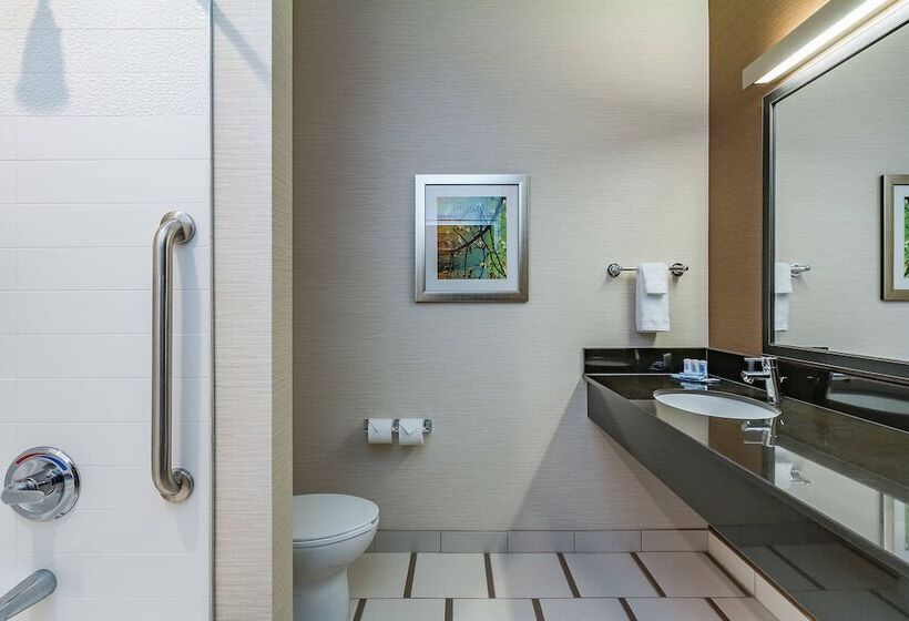 בית מלון כפרי Fairfield Inn & Suites By Marriott Elkhart