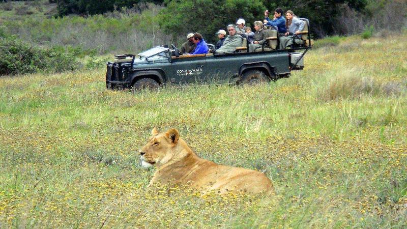 호텔 Gondwana Game Reserve