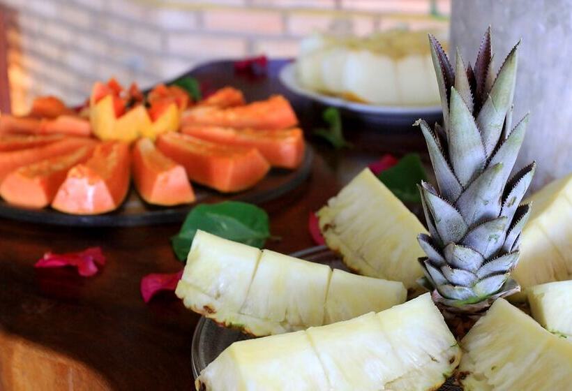 Igarakuê Hotel Pousada