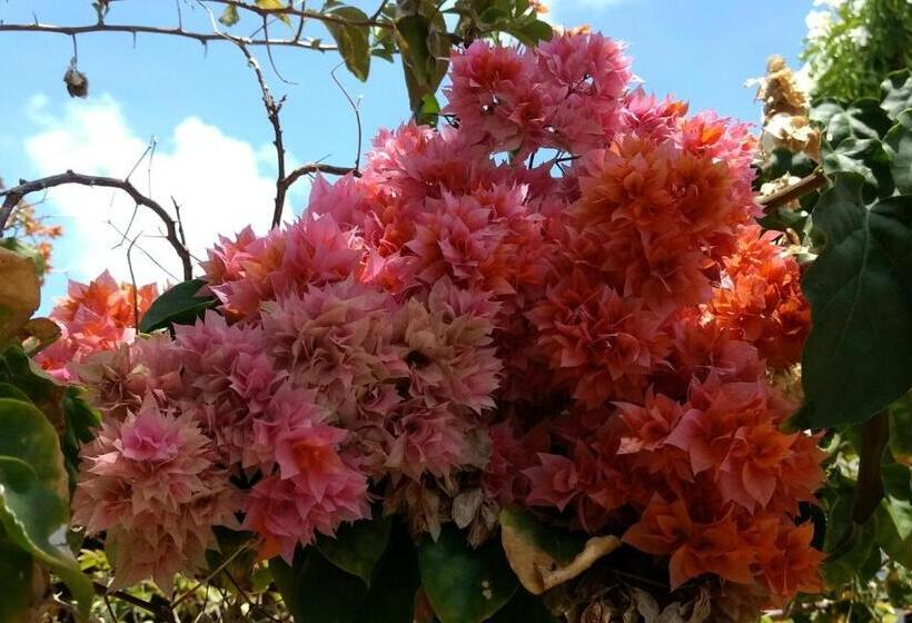 בית מלון כפרי Jacumã´s Lodge