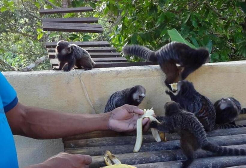 בית מלון כפרי Pousada Do Mar