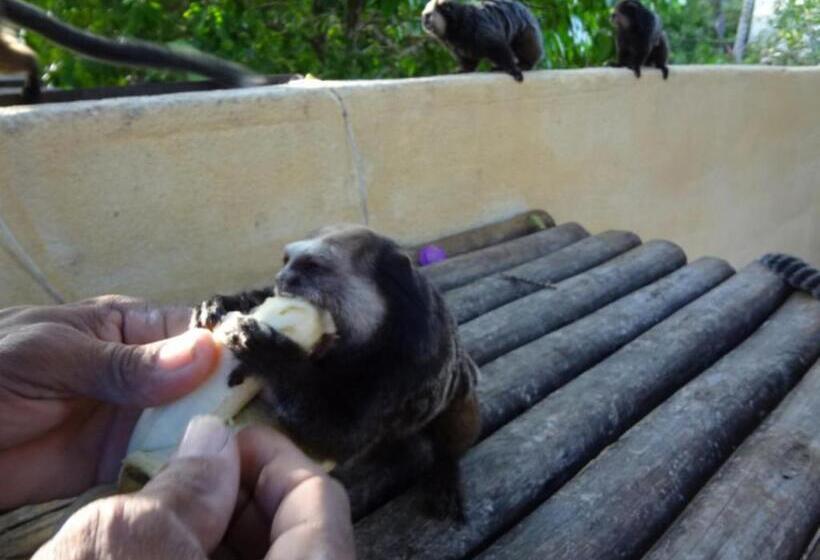 בית מלון כפרי Pousada Do Mar