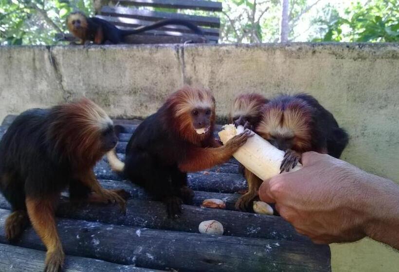 בית מלון כפרי Pousada Do Mar