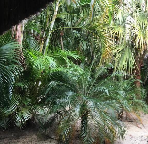 호텔 Pousada Marimar