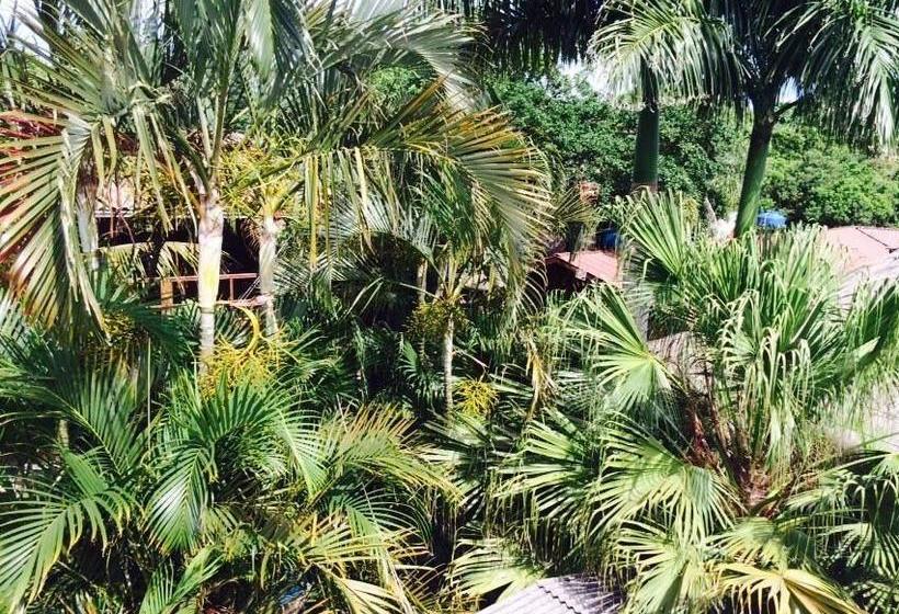 호텔 Pousada Marimar