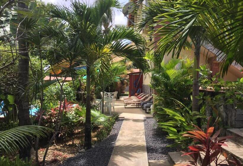 Отель Pousada Rancho Fundo