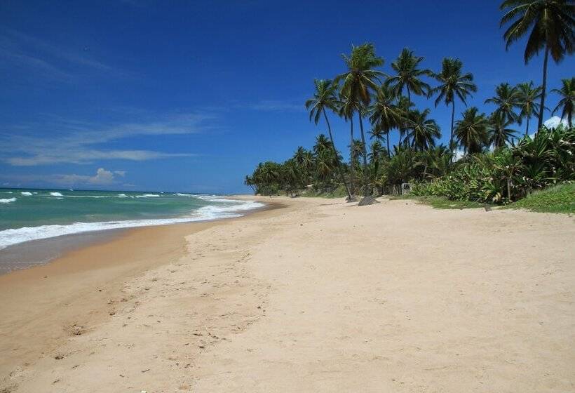 Отель Pousada Rancho Fundo