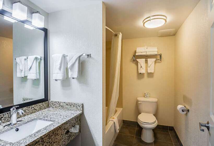 فندق Quality Inn & Suites