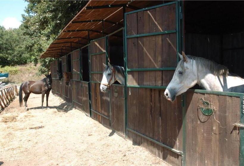 בית מלון כפרי La Riserva Montebello