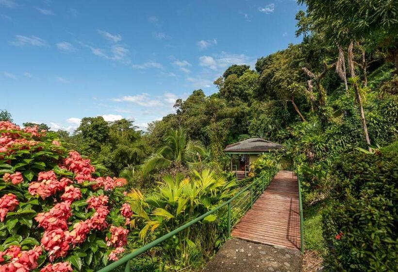 ホテル Tabulia Tree