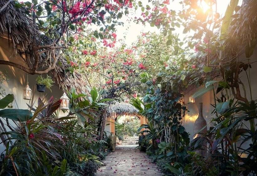 هتل The Chili Beach Private Resort