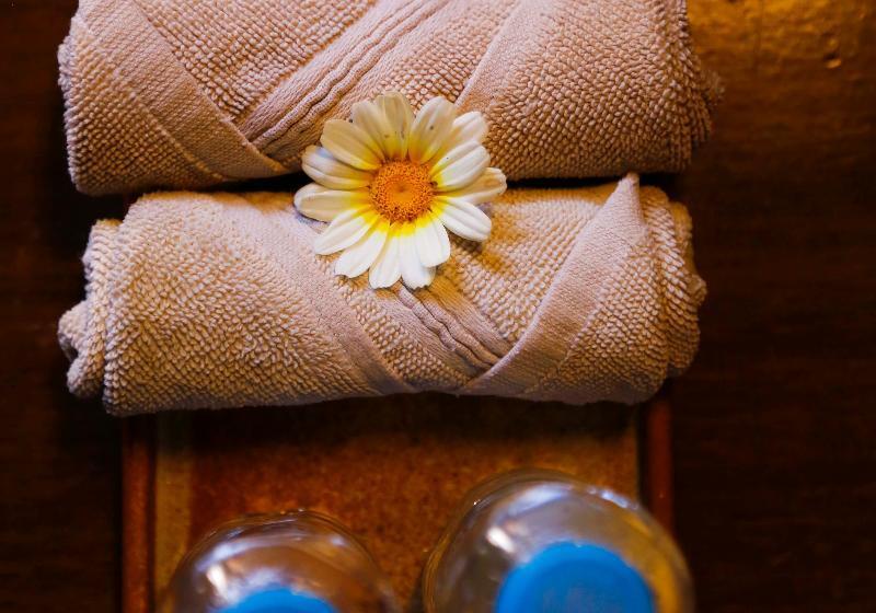 בית מלון כפרי Taj Damdama Lake Resort & Spa, Gurugram