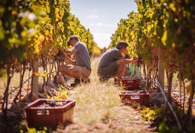 Otel The Vines Resort & Spa