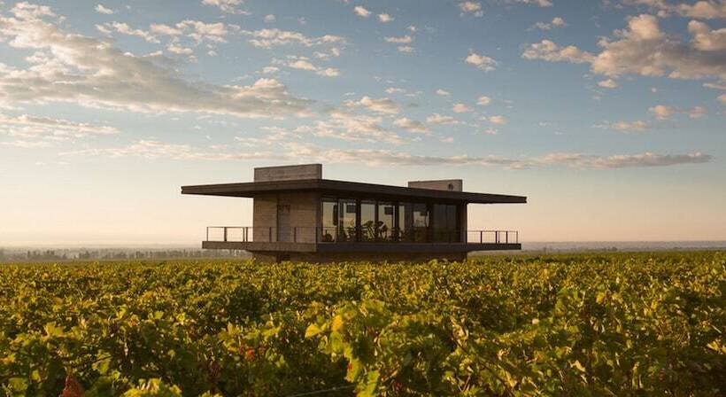 Hotel The Vines Resort & Spa