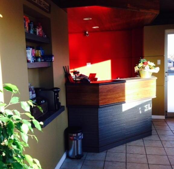 מוטל Nice Inn Edmonton