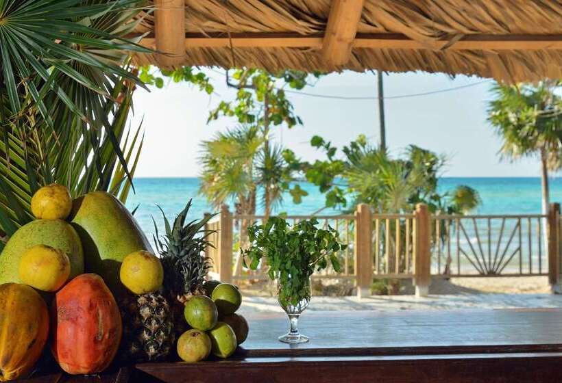 渡假胜地  Meliá Jardines del Rey