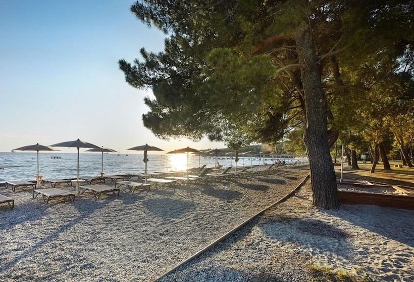 Camping Adria Ankaran   Pitches