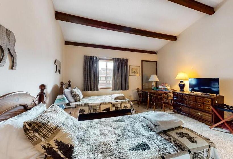 فندق Squaw Village Condo