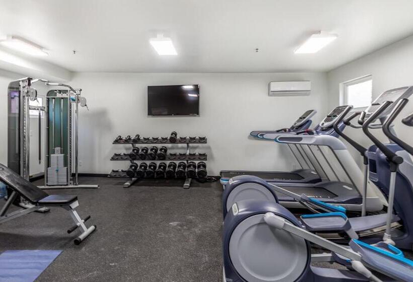 Отель Sunny Cozy Condo