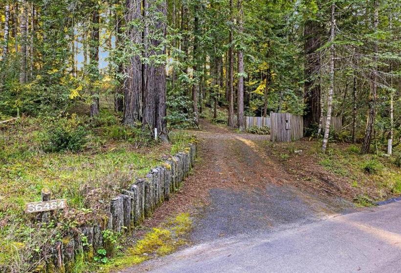 בית מלון כפרי The Tea House