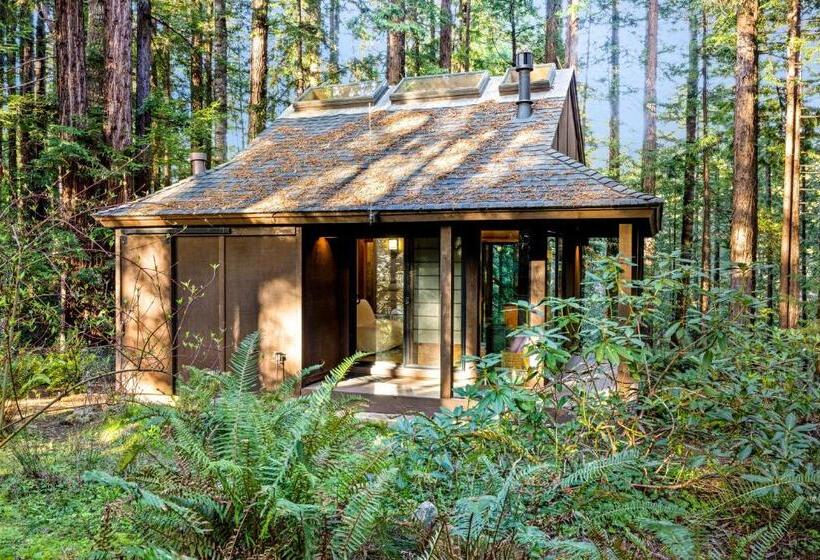 בית מלון כפרי The Tea House