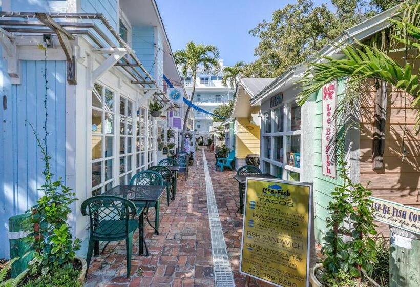 فندق Sunshine On My Shoulders