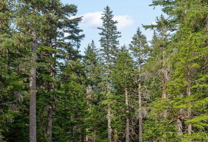 בית מלון כפרי Cozy Crystal Mountain Condo