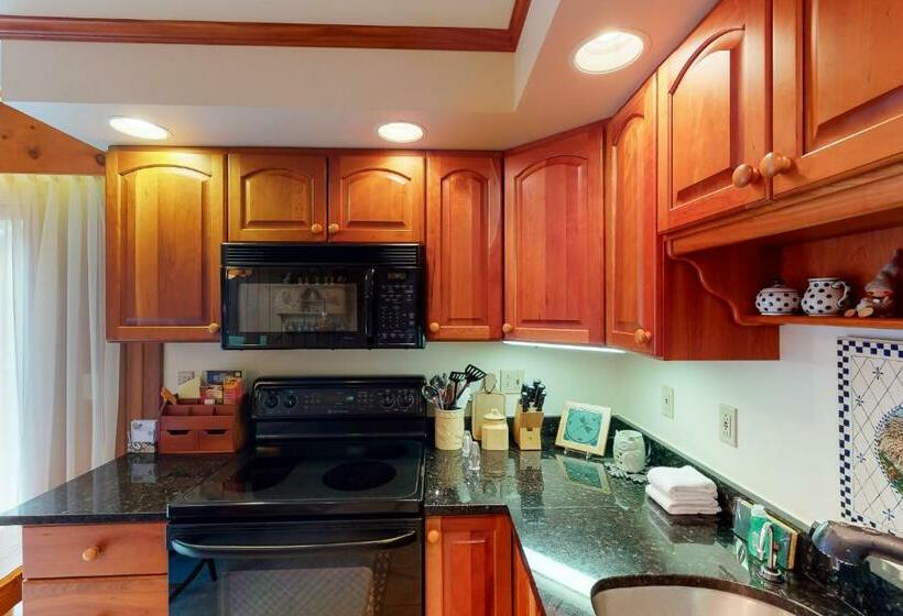 فندق Bromley Mountain Condo Cd2