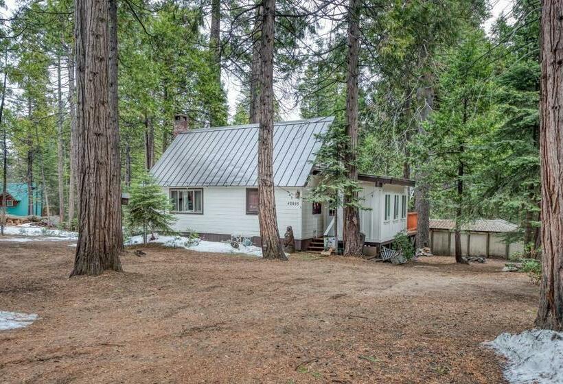 Отель Elevation Station